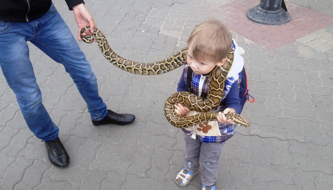 SNAKEBOY

Бедный мальчик, бедная змея. Но смотрится очень забавно, особенно детская рука в середине кадра. На этом снимке вообще очень много рук.