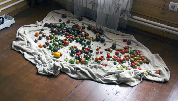 TOMATOES

Я сделал эту фотографию, когда ездил на dacha и ходил в banya. А потом мы собирали помидоры.