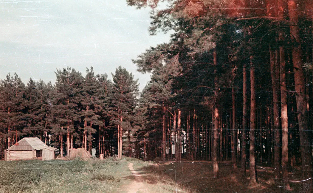 Кзыл-Байрак, 1954 год
