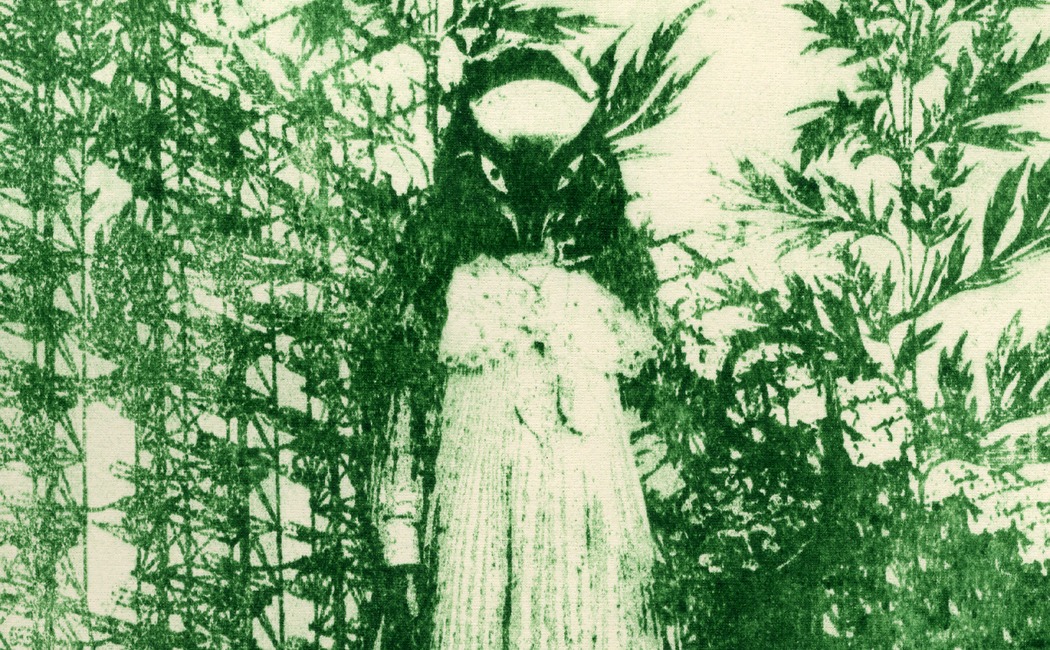 Лена Лисица. «Дуга»
