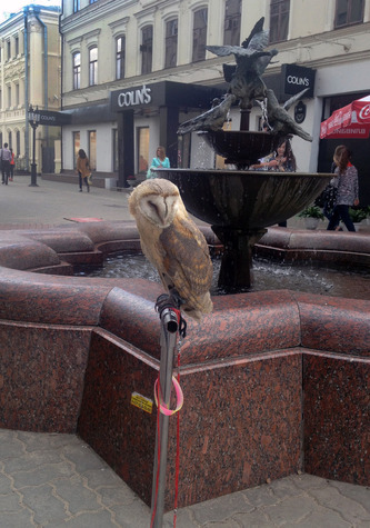 OWL 

Мне понравился фонтан. Я много путешествую и заметил, что люди во всех странах ненавидят голубей, потому что они грязные и вообще. Казань — первый город, где я столкнулся со скульптурой, посвящённой этим птицам. Лично мне голуби нравятся, поэтому я обрадовался, что кому-то пришла в голову идея такого фонтана.